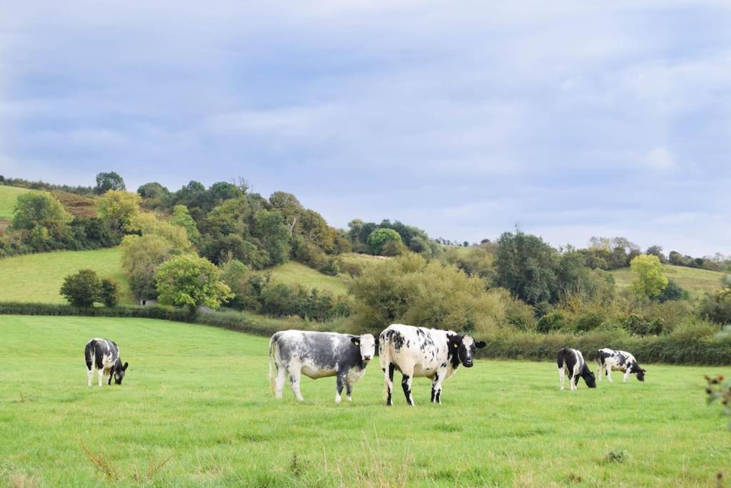 Nr Bicester Village 5 Star Luxury On Farm Piddington Luaran gambar